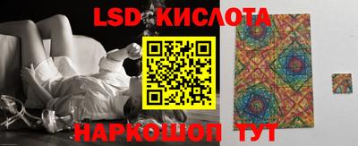 молекула духа Будённовск
