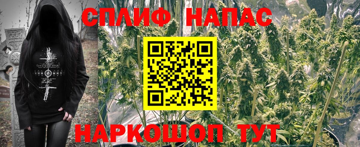 Шишки марихуана ГИДРОПОН Щёлково